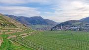 Buschandlwand Abbildung 22