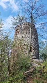 Hirschwaldstein Abbildung 11