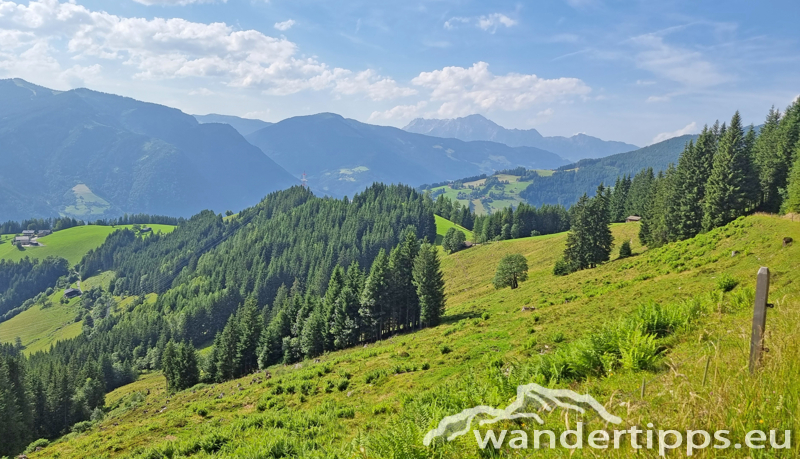 Hundstein Abbildung 29