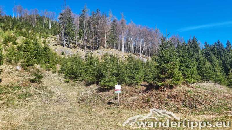 Marienköpfl/Mariannenkopf Abbildung 3