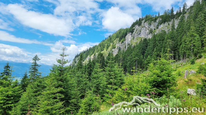 Struwin Abbildung 11