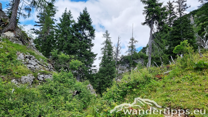 Struwin Abbildung 12