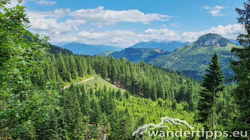 Struwin Abbildung 21