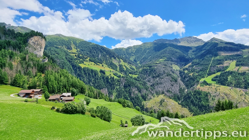 Edelweißwiese/Äußere Steiner Alm Abbildung 2