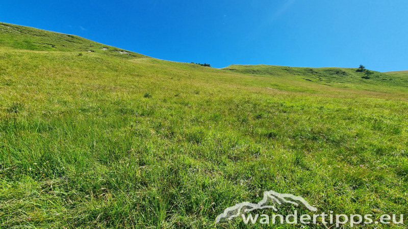 Edelweißwiese/Äußere Steiner Alm Abbildung 11