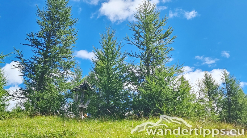 Edelweißwiese/Äußere Steiner Alm Abbildung 13