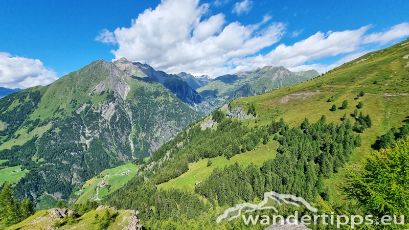 Edelweißwiese/Äußere Steiner Alm Abbildung 15
