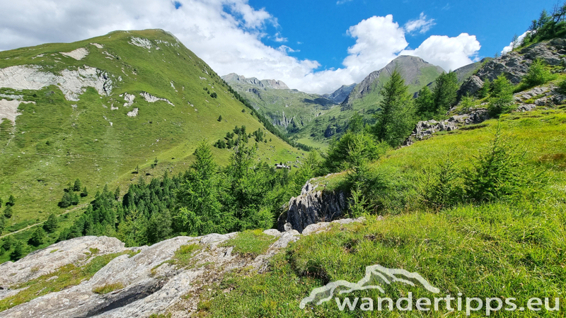 Edelweißwiese/Äußere Steiner Alm Abbildung 16