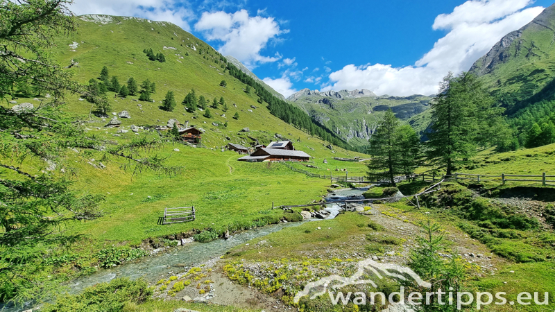 Edelweißwiese/Äußere Steiner Alm Abbildung 18