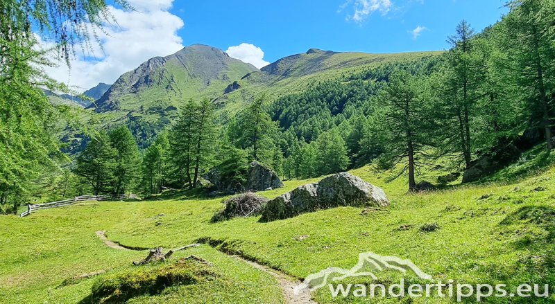Edelweißwiese/Äußere Steiner Alm Abbildung 19