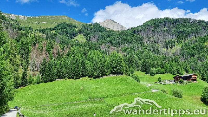 Edelweißwiese/Äußere Steiner Alm Abbildung 3