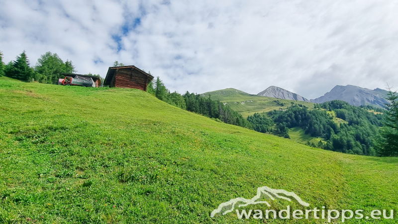 Edelweißwiese/Äußere Steiner Alm Abbildung 5