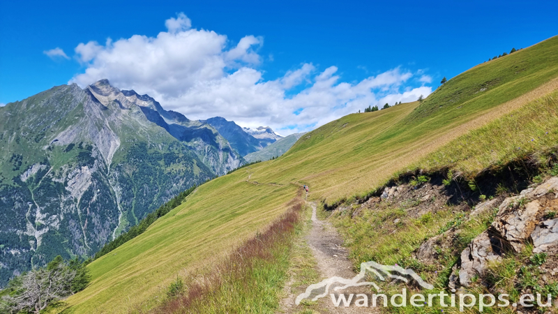 Edelweißwiese/Äußere Steiner Alm Abbildung 9