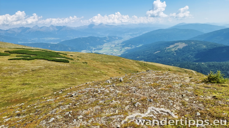 Teuerlnock Abbildung 22