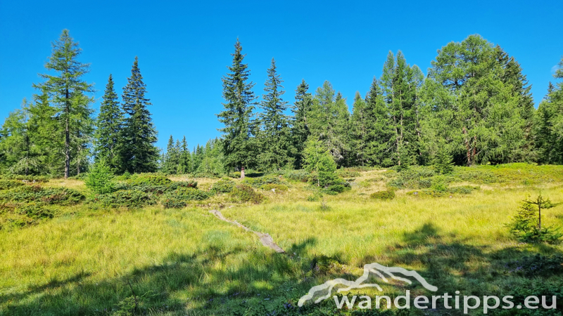 Teuerlnock Abbildung 8