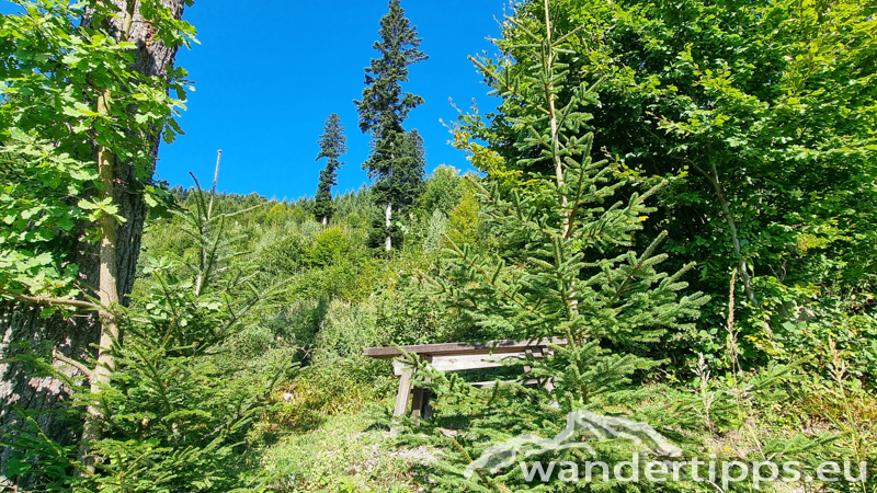 Hochplettspitze Abbildung 12