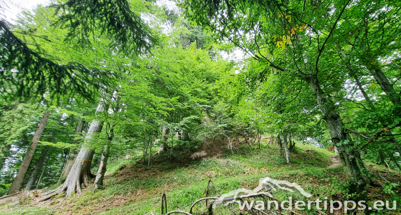 Hochplettspitze Abbildung 18