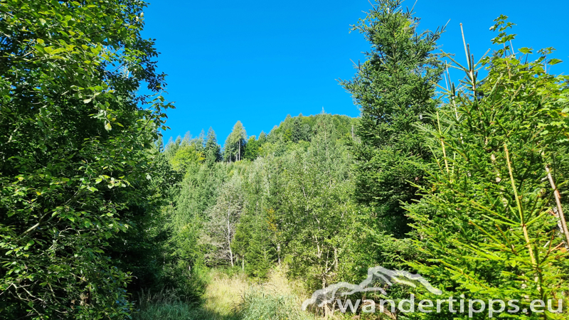 Hochplettspitze Abbildung 10