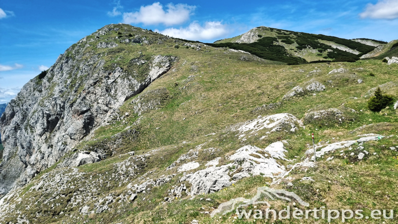 Windberg von Westen/Knopperwiese Abbildung 13