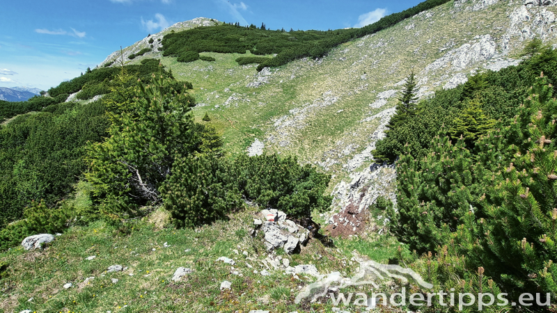 Windberg von Westen/Knopperwiese Abbildung 10