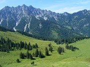 Lohnspitze / Äußere Gamp Alpe Abbildung 11