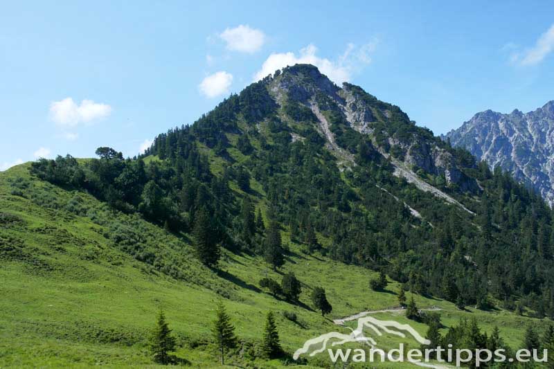 Lohnspitze / Äußere Gamp Alpe Abbildung 1